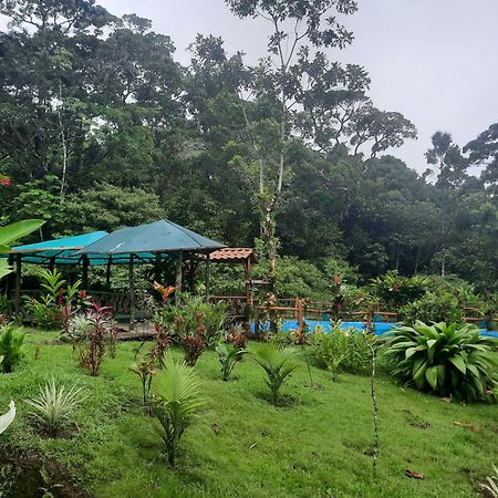 Oski Lodge, Rain Forest Rincon De La Vieja Upala Ngoại thất bức ảnh