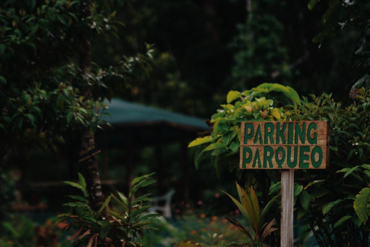 Oski Lodge, Rain Forest Rincon De La Vieja Upala Ngoại thất bức ảnh