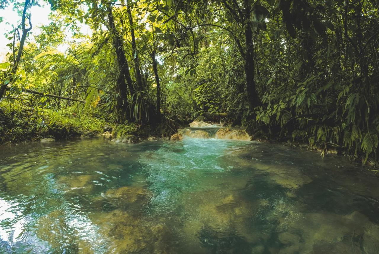 Oski Lodge, Rain Forest Rincon De La Vieja Upala Ngoại thất bức ảnh