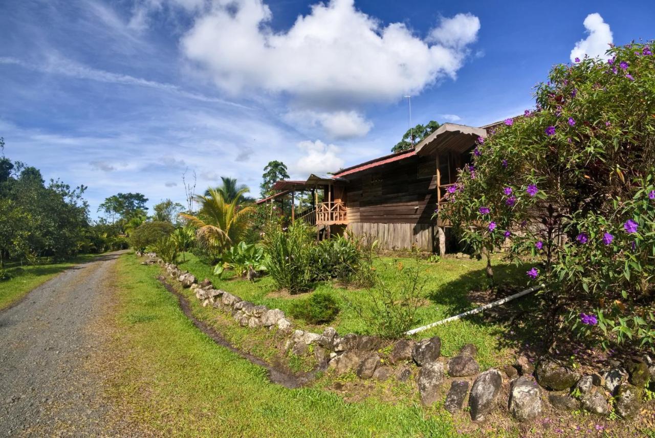 Oski Lodge, Rain Forest Rincon De La Vieja Upala Ngoại thất bức ảnh