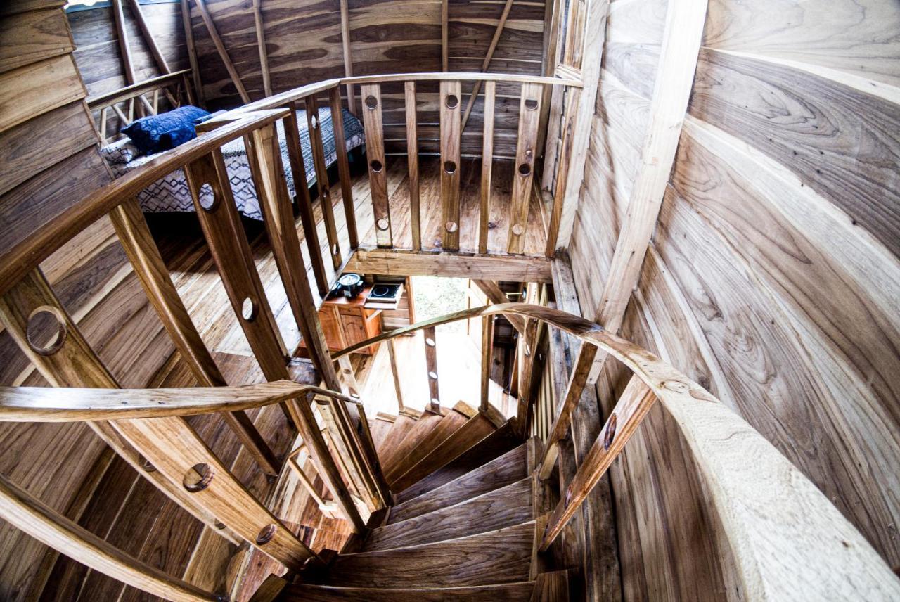 Oski Lodge, Rain Forest Rincon De La Vieja Upala Ngoại thất bức ảnh