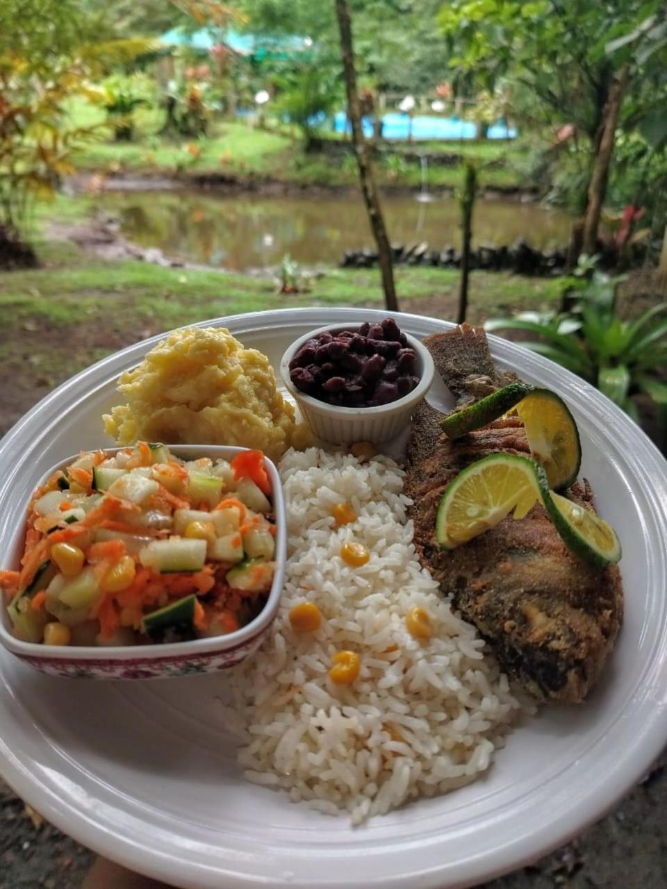Oski Lodge, Rain Forest Rincon De La Vieja Upala Ngoại thất bức ảnh