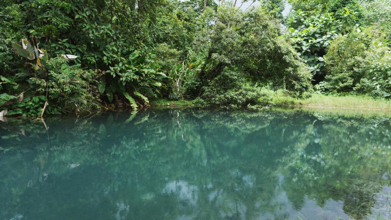 Oski Lodge, Rain Forest Rincon De La Vieja Upala Ngoại thất bức ảnh